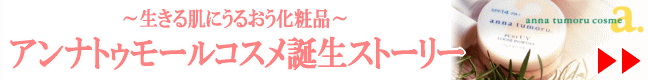 AigD[RXaXg[[