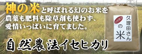 �v���c����̎��R�_�@�C�Z�q�J���i���R�͔|�j