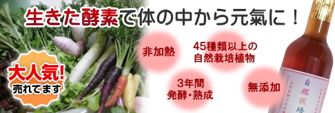 自然栽培酵素 マッシモ