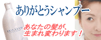 肪ƂVv[/YEA~m_ΌVv[