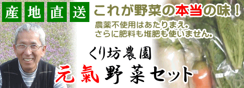 無肥料・自然栽培で育った旬の野菜のセット