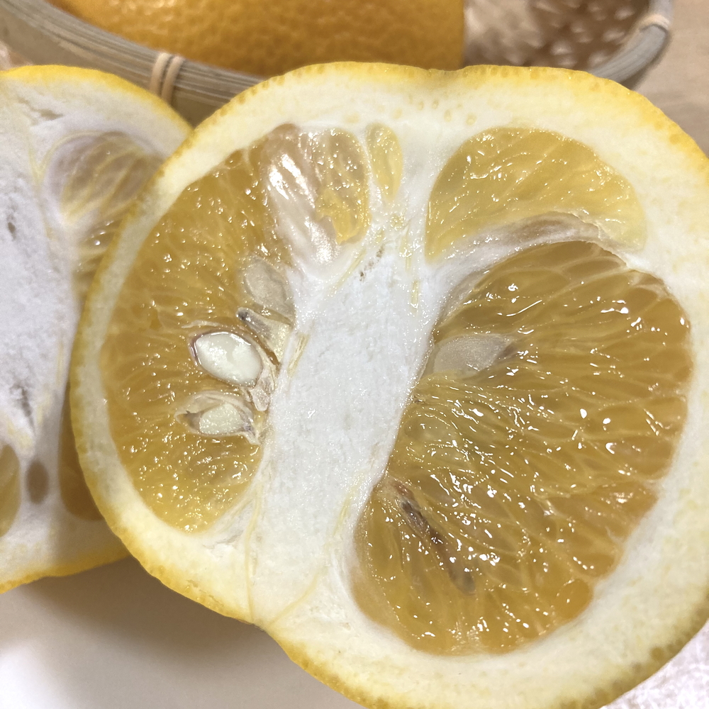 渋谷農園 自然栽培はっさく