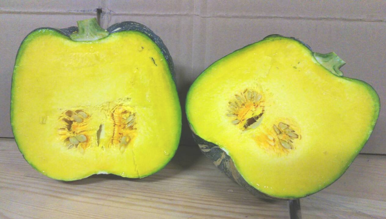 くり坊農園 自然農法島かぼちゃ