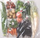 くり坊農園 元氣野菜セット