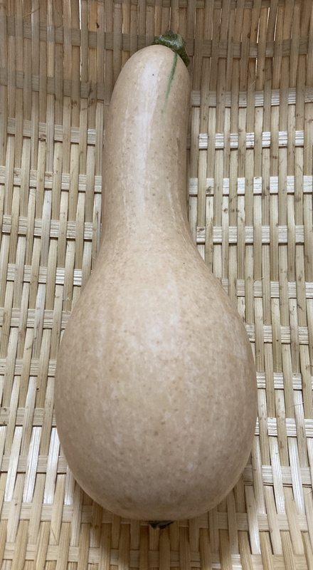 久理田さんの自然農法バターナッツ