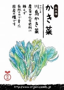 YER_@q ؁i쓇؁j