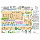 若杉ばあちゃんの陰陽表